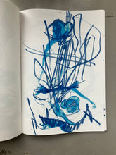 Not Quite Good Enough to be on TV Harmonies - Joanne Robertson