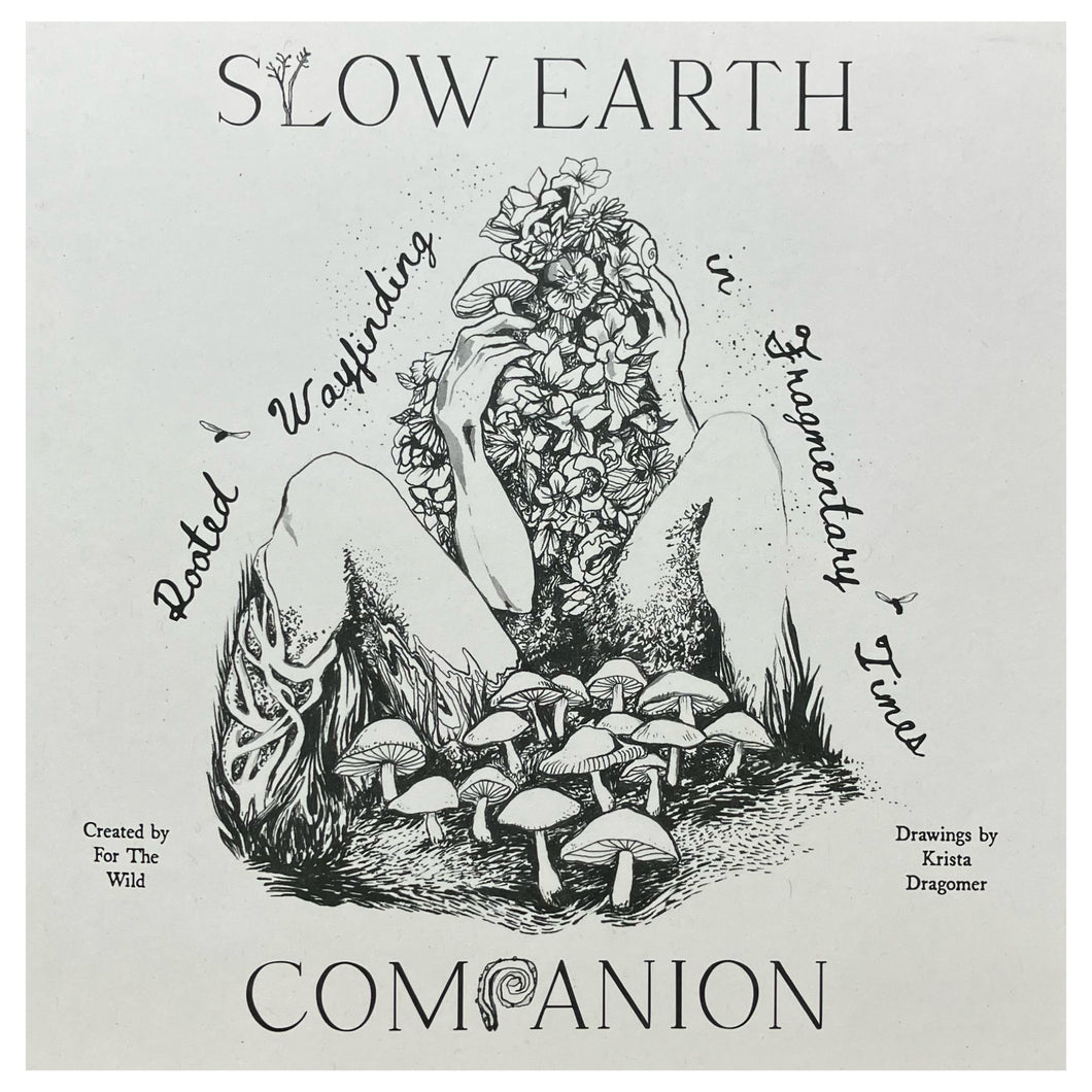 Slow Earth Companion: Rooted Wayfinding in Fragmentary Times