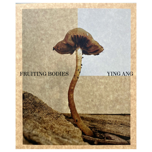 Fruiting Bodies - Ying Ang