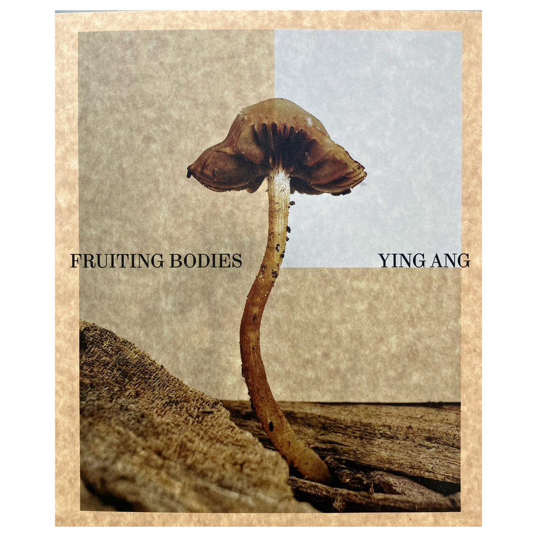 Fruiting Bodies - Ying Ang